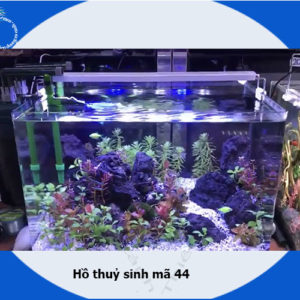 Thi công hồ thủy sinh  để bàn mã 44