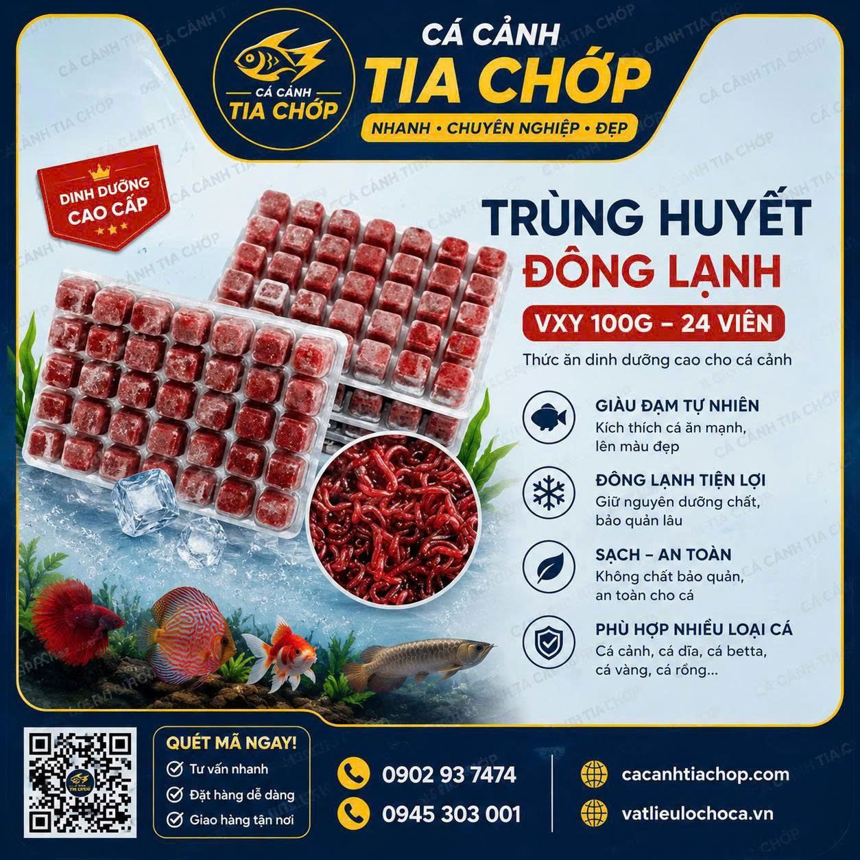 trùng huyết đông lạnh vỹ 100 gam 24 viên