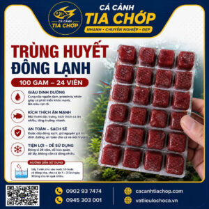 Trùng chỉ đông lạnh" là trùng chỉ (tubifex worms) hay trùng huyết đông lạnh ,vỹ 100gam 24 viên