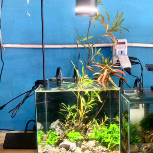 Đèn led coco FF618 thiết kế nhỏ gon có 3 chế độ : Trắng- vàng nhạt- vàng đậm