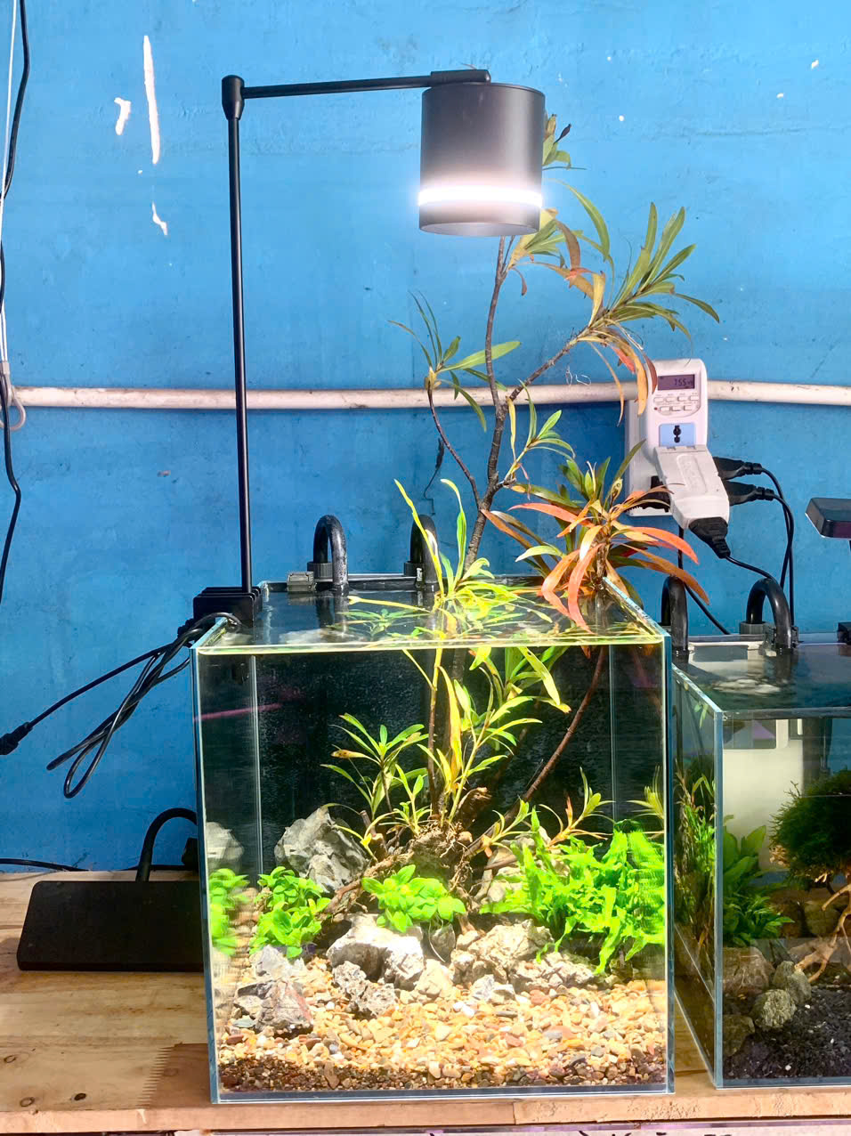 Đèn led coco FF618 thiết kế nhỏ gon có 3 chế độ : Trắng- vàng nhạt- vàng đậm