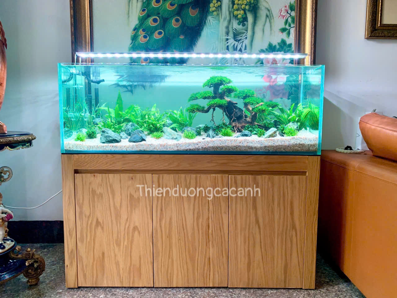 Hồ thủy sinh bố cục bonsai truyền thống kích thước 118x40x40cm