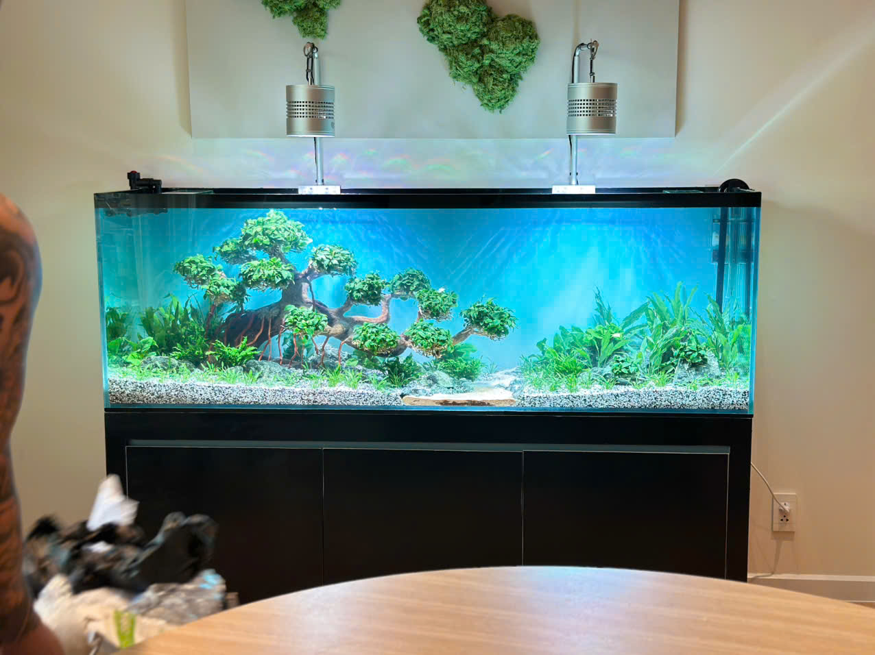 “Hồ thủy sinh bonsai truyền thống” kích thước 180 x68x68cm