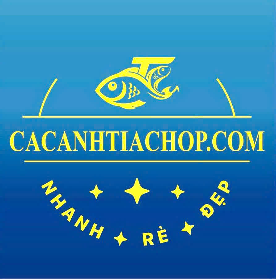 Vật liệu lọc hồ cá- Phụ kiện hồ thủy sinh-phụ kiện hồ cá