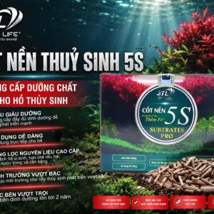 CỐT NỀN THỦY SINH 5S – GIÚP CÂY PHÁT TRIỂN KHỎE, BỘ RỄ BÁM TỐT