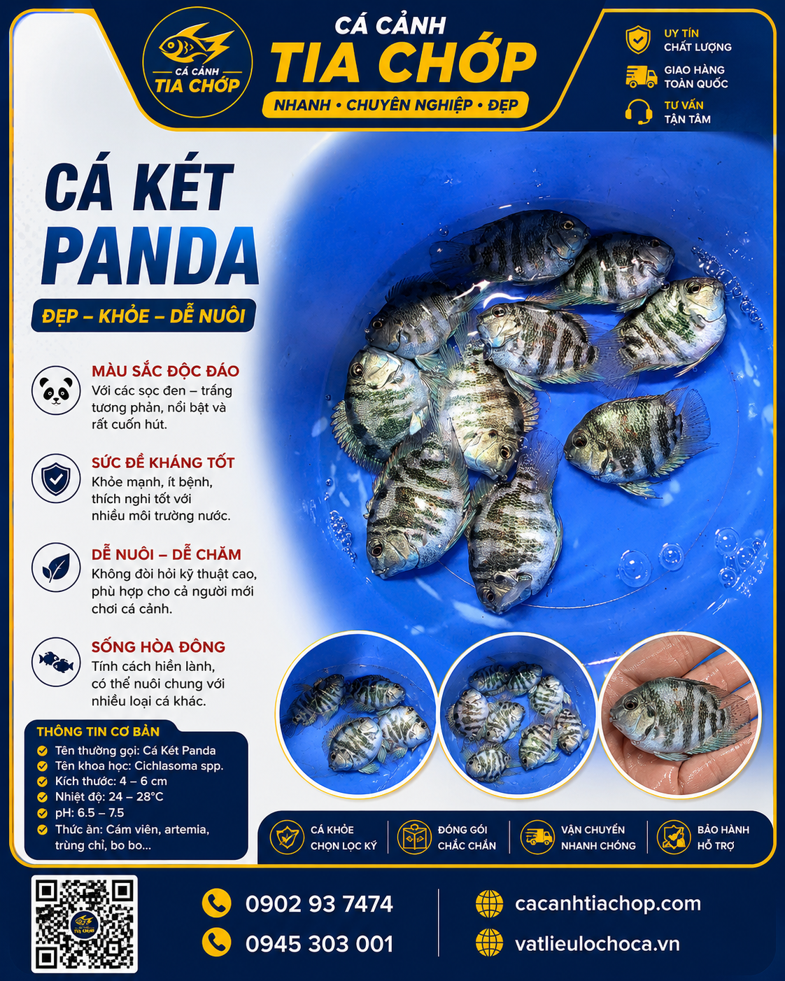 CÁ KÉT PANDA SIZE TO MỚI VỀ