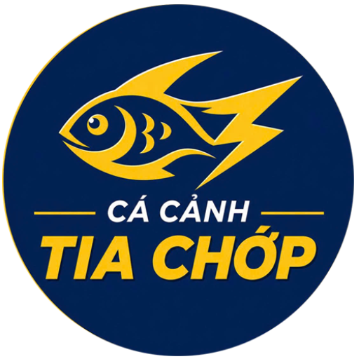 Vật liệu lọc hồ cá- Phụ kiện hồ thủy sinh-phụ kiện hồ cá