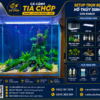 setup hồ thuỷ sinh 10 ly 60 x30 x57cm cho khách nước ngoài