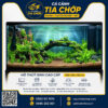 HỒ THỦY SINH 100 × 50 × 50CM – LỌC TRÀN DƯỚI- HTS 1005050-2