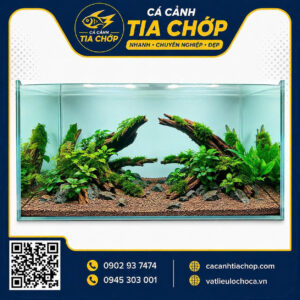 BỐ CỤC LAYOUT HỒ THỦY SINH 80×40×40CM HOÀN CHỈNH - HST 804040-1
