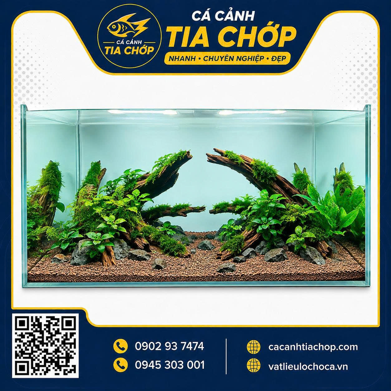 BỐ CỤC LAYOUT HỒ THỦY SINH 80×40×40CM HOÀN CHỈNH - HST 804040-1