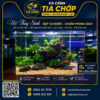 Hồ thuỷ sinh để bàn 50 x33x35cm