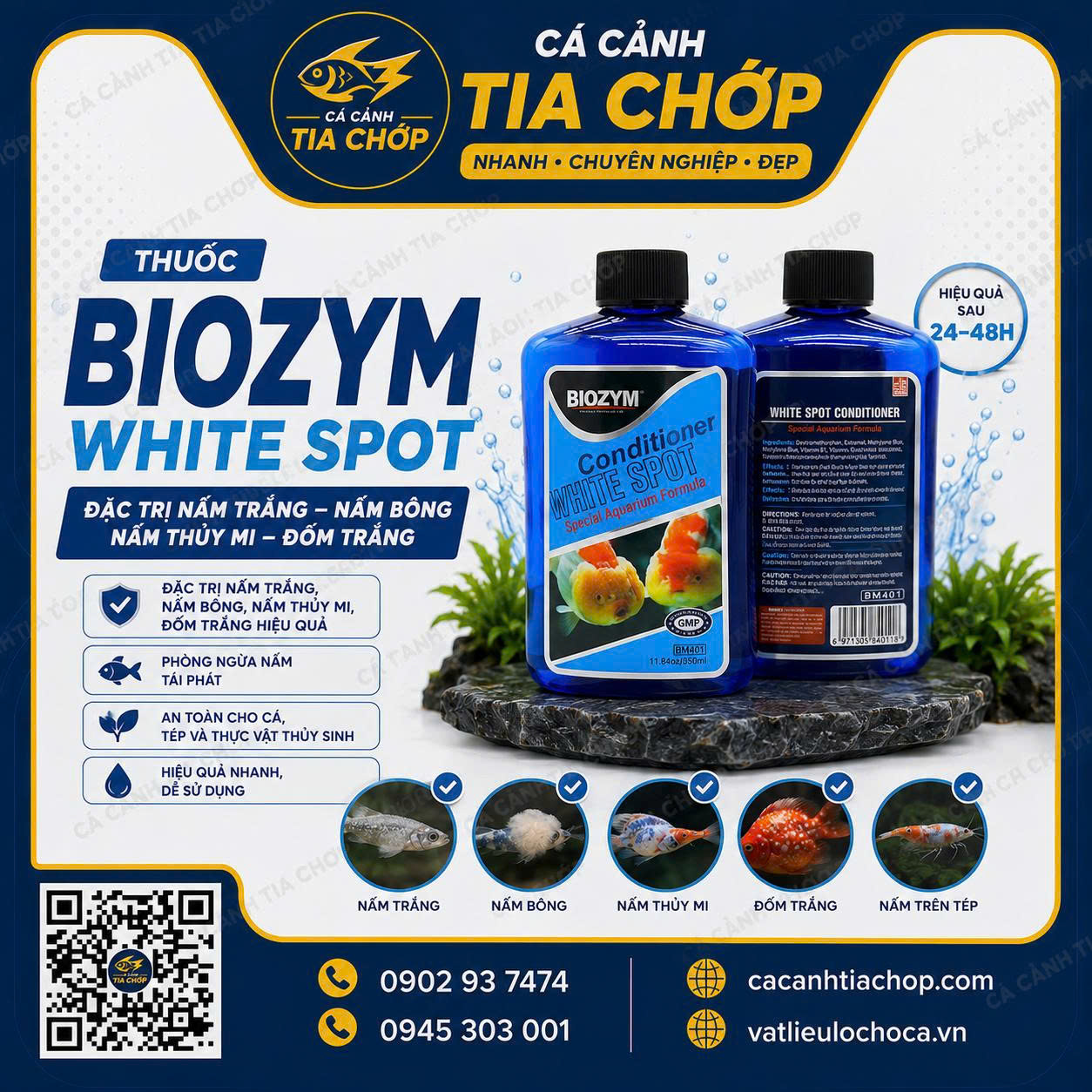 🦠 BIOZYM WHITE – ĐÁNH BAY NẤM ĐỐM TRẮNG, CỨU CÁ KHỎE CHỈ SAU VÀI NGÀY!
