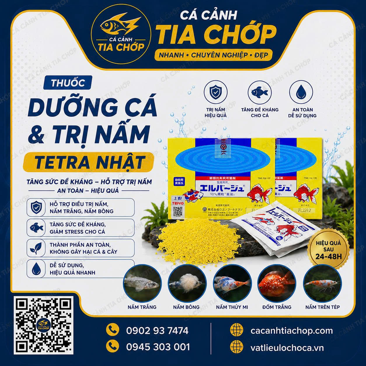 🐠 TETRA NHẬT DƯỠNG CÁ – "BẢO HIỂM SỨC KHỎE" CHO CÁ CẢNH