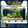 🌿 HỒ THỦY SINH 80×40×40CM – MANG CẢ MỘT GÓC THIÊN NHIÊN VÀO NHÀ 🌿
