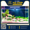 Hồ thủy sinh siêu trong 60x30x35cm- hst 603035.2