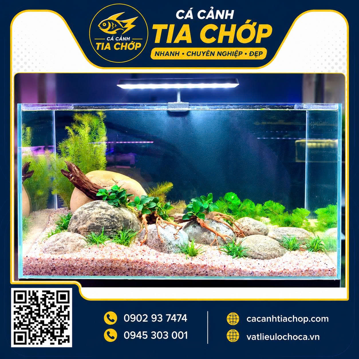 Hồ thủy sinh siêu trong 60x30x35cm- hst 603035.2